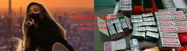 jwh Козельск